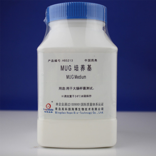 指示菌測試片