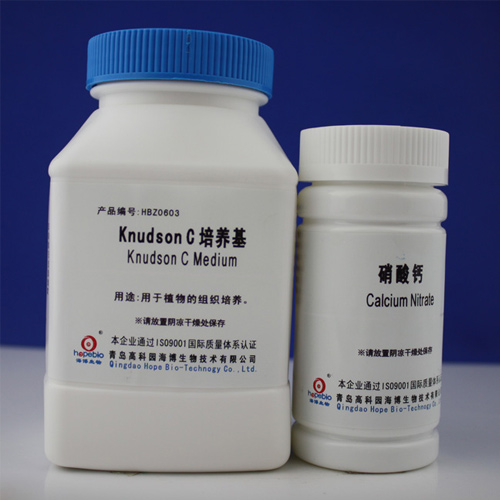 knudsonC培養基
