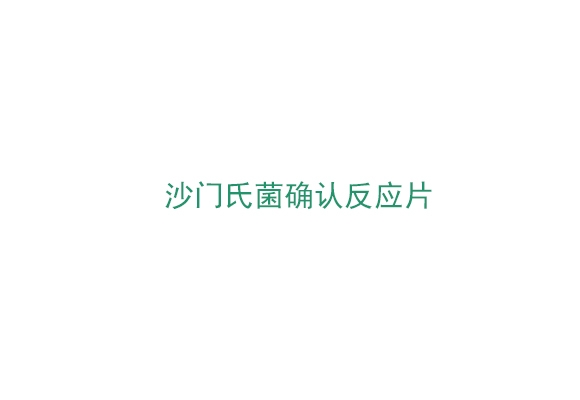 3M™ Petrifilm™沙門氏菌確認反應片（6539）