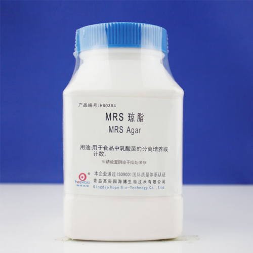 乳酸菌檢測