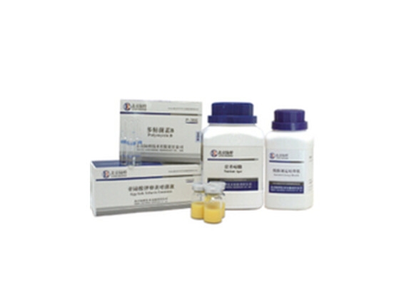 乳糖蛋白腖培養液 CM122